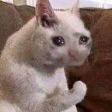 hey_adora69's tweet photo. Me remembering I only have two exams left but one of them in a 2 hour engineering #gcse2023 https://t.co/qZ2AtAlKw0