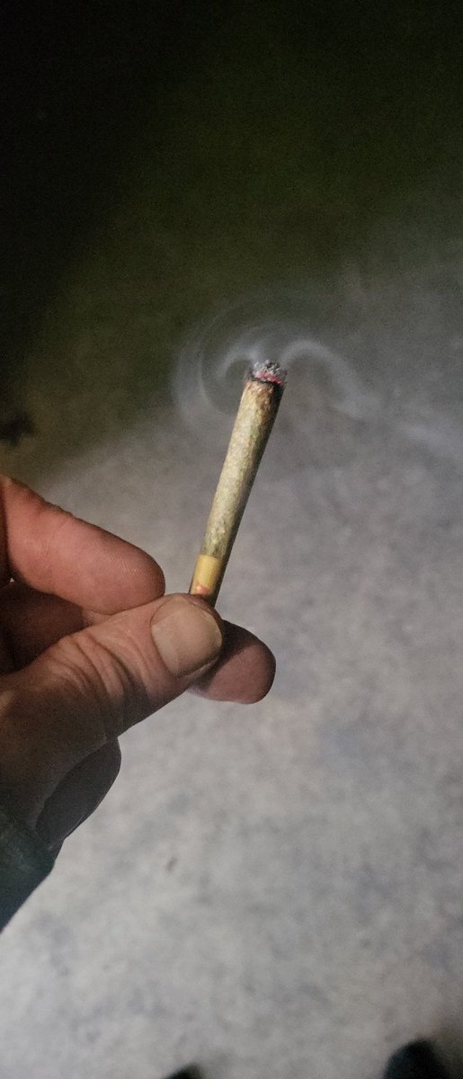 FrankShealyJr1's tweet photo. Ahhh my favorite smoke Chemdawg. The one strain that alleviates my back pain. πππΏ #Alaskahighlife #weedlife #cannabis #AWBB #caryophyllene #chemdawg #hybrid https://t.co/qQAdIKpqQ6