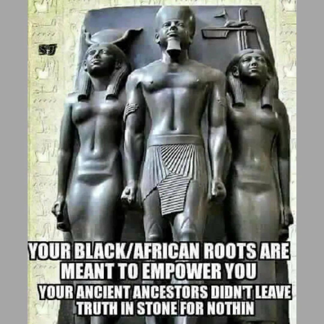Recognise your past to inform your future with our ONLINE 'Introduction to Black Studies' Course starting 11/13 January 2024. Live Weekday and Weekend Classes. BOOK TODAY! Info: tinyurl.com/3cf92u4z

#blackstudies #blackhistory #onlinecourse #onlinelearning #liveclass