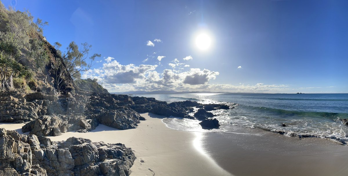 Carl Hendy tweet media