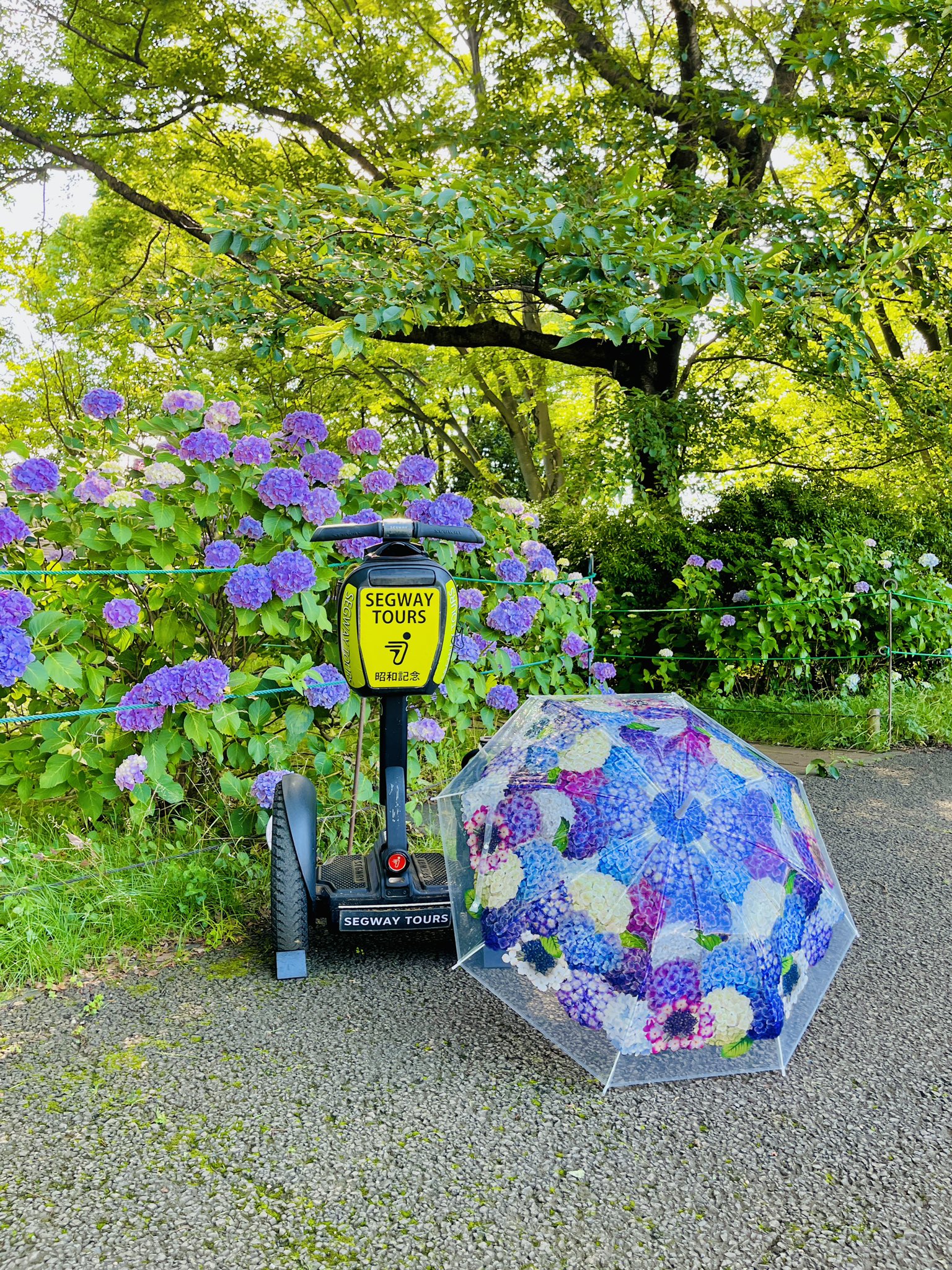 昭和記念公園セグウェイツアー【8月まで予約受付中！】 on X