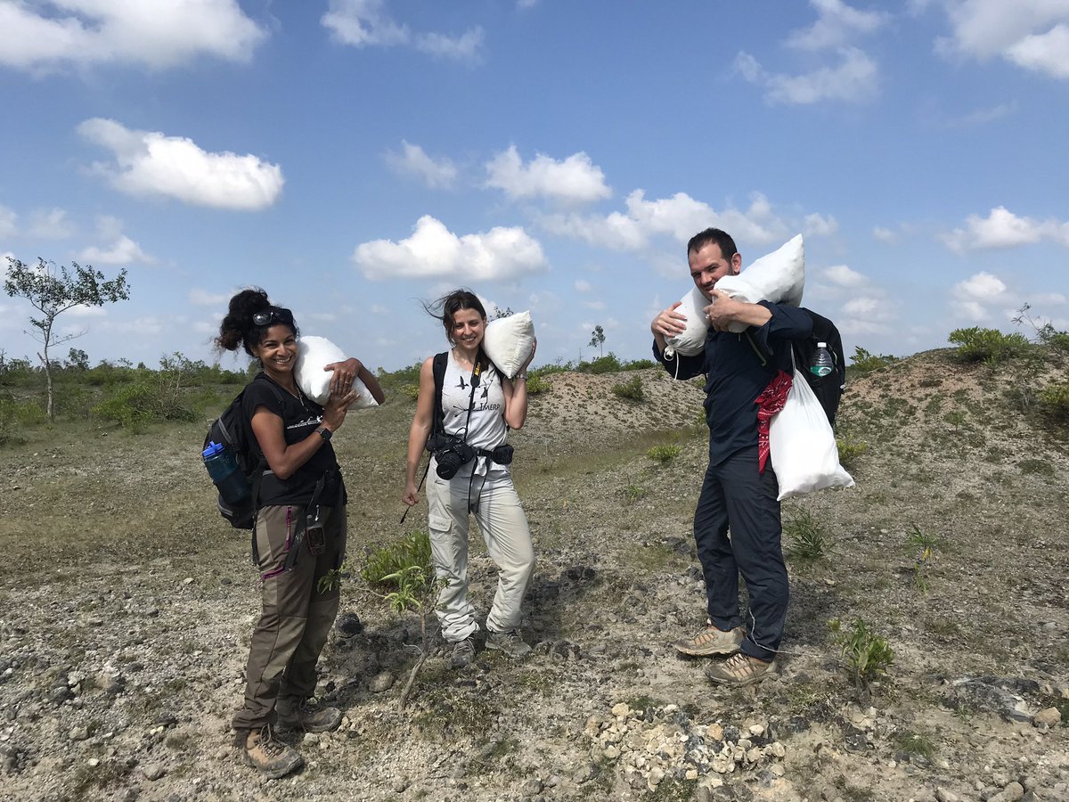 anjgoswami's tweet image. Come join us @NHM_London Saturday, June 24 for a family festival celebrating the contributions of South Asian women in natural history. Talks, tours, activities, even Bhangra &amp;amp; yoga! I’ll be talking about my work digging up #dinosaurs in India &amp;amp; giving special tank room tours!