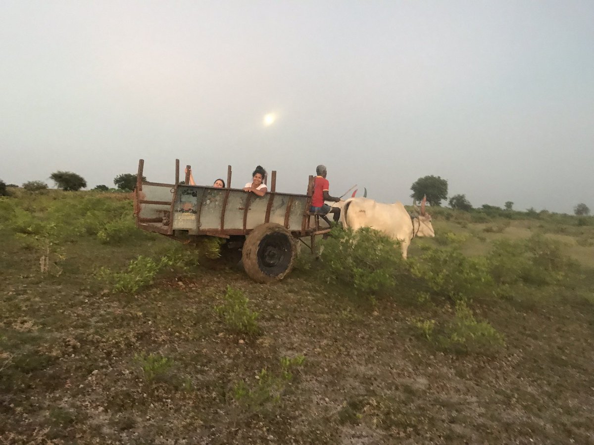 anjgoswami's tweet image. Come join us @NHM_London Saturday, June 24 for a family festival celebrating the contributions of South Asian women in natural history. Talks, tours, activities, even Bhangra &amp;amp; yoga! I’ll be talking about my work digging up #dinosaurs in India &amp;amp; giving special tank room tours!