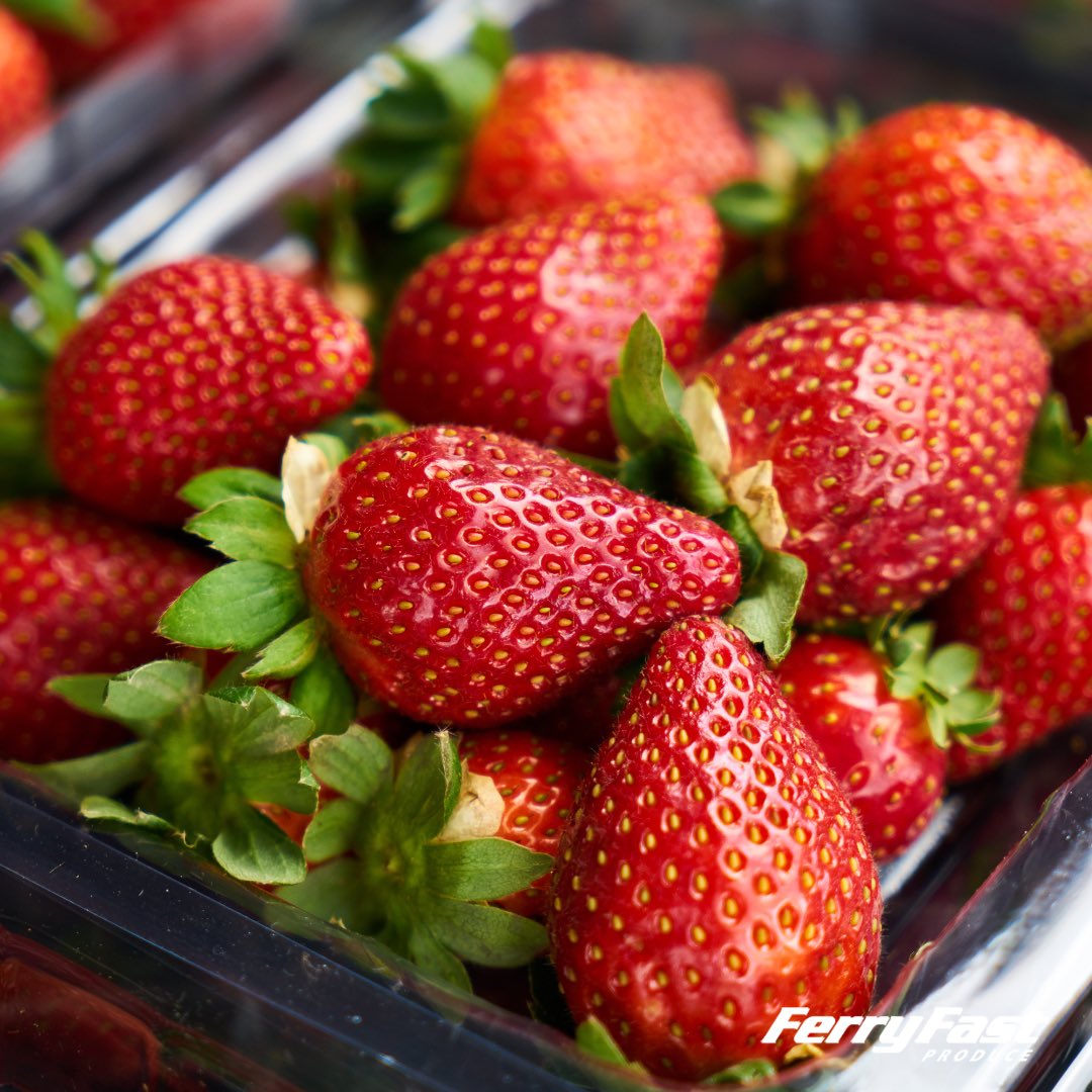 Our boxes of English Strawberries (20x400g) look and taste incredible!🤤 🍓🇬🇧

#wholesale #wholesalers #ukproduce #freshproduce #produce #produceindustry #supportlocal #britishfarming #farming #growers #grower #britishproduce