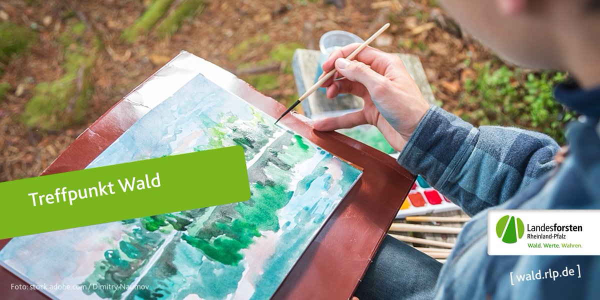 Web-Förster tweet media