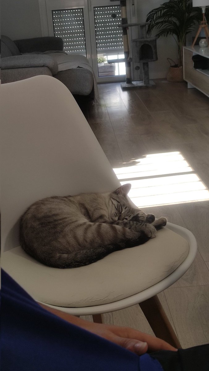 Como va a ser tan chica esta cosa 🥺
<a href="/alegalvezzz_/">𝐚𝐥𝐞𝐠𝐚𝐥𝐯𝐞𝐳</a>