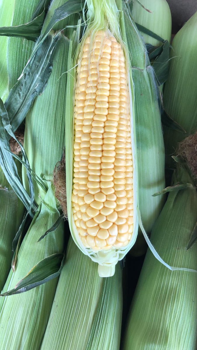 Nicolas Garden Courgettes, ✅Green Chillies 🥵&amp; Sweet Corn 🌽now with us!🚚
Place your order 🗒️for this weekend´s BBQ🔥🤩
#NicolasGarden #Chillicious #Summer