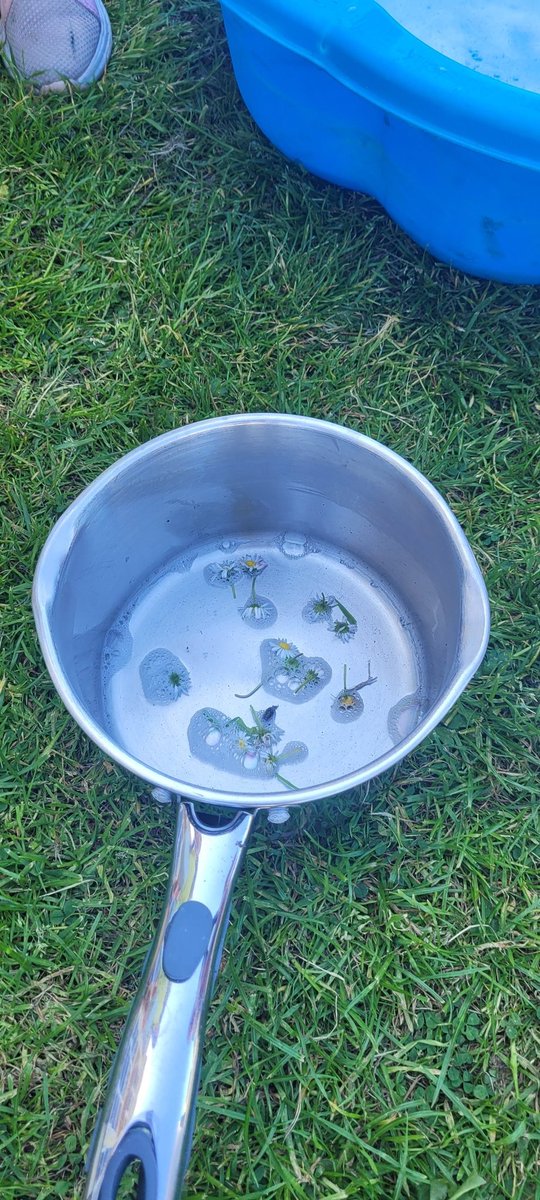 Some children then took their colourful chalk paint mixture and made 'fairy soup' They added daisies and grass and experimented by mixing different colours together #outdoorlearning #Colourmixing #Experimenting #Creating #PlayIsTheWay