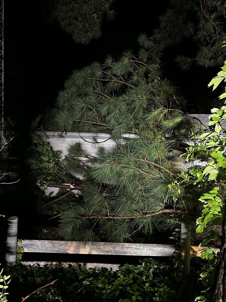 Raider YT tweet media