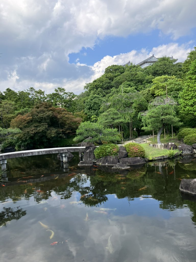 yuuunaaagi's tweet photo. 久しぶりの城攻めでした！

#姫路城
#城攻め
#写真好きな人と繋がりたい https://t.co/F4tpBnAPuu