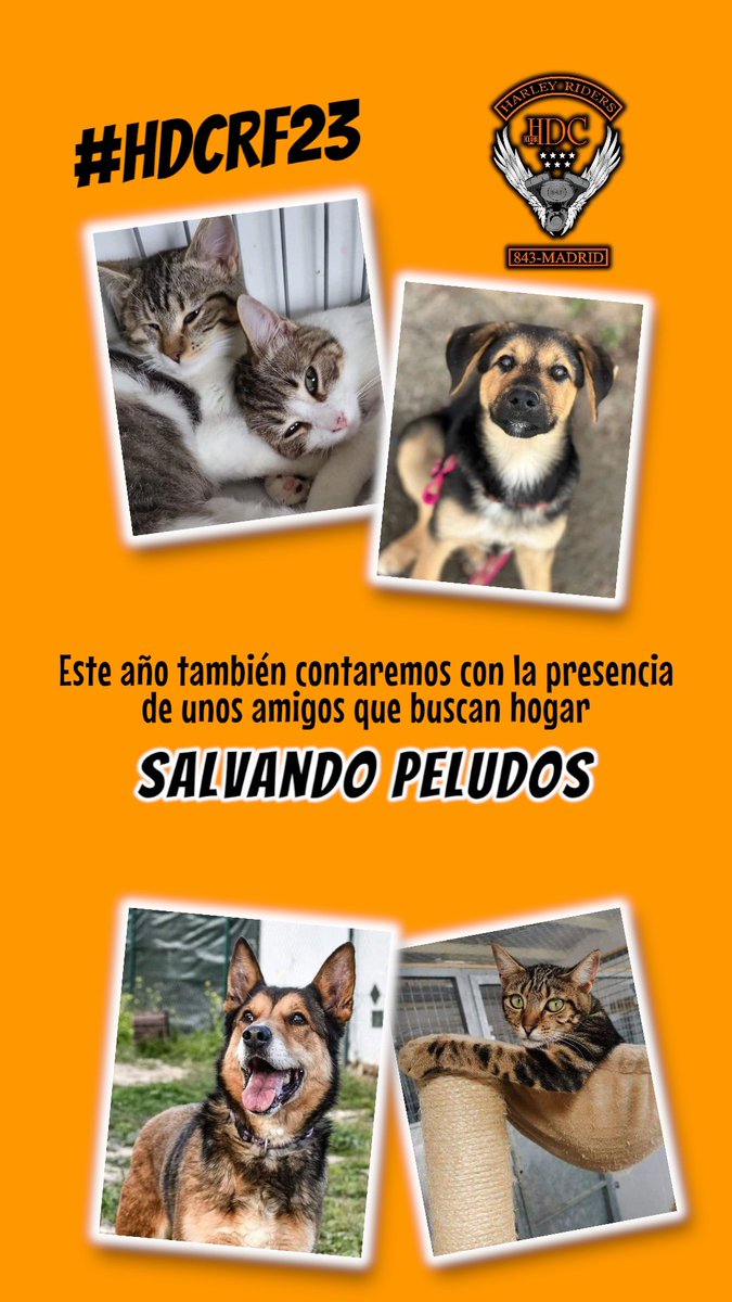 #SalvandoPeludosElAlmonte