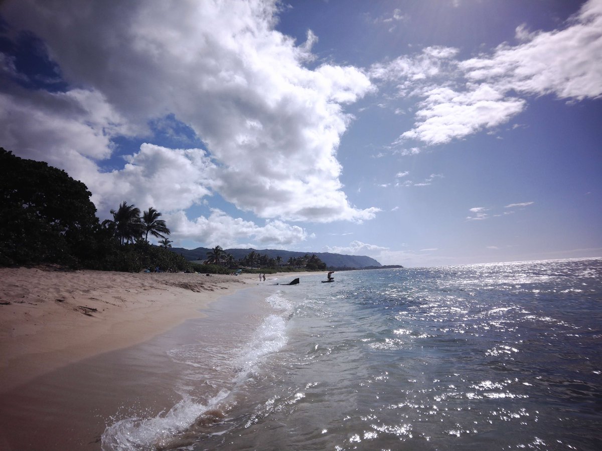 xariaaanne's tweet photo. 📍north shore, oahu https://t.co/nJ0mmEGCkt