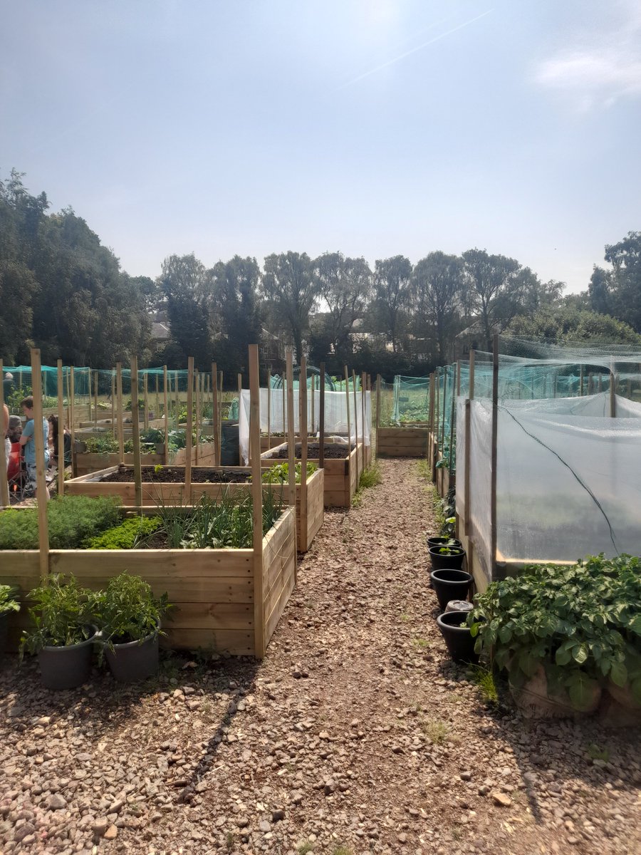 DTAScot's tweet photo. Great to see @Grow_73 buzzing at their Buzzfest last weekend!
A day of fun and games, and much progress in developing a great outdoors community facility!
#developmenttrust #nature #communityownership #communitygarden #rutherglen https://t.co/hPNSwQSBhZ