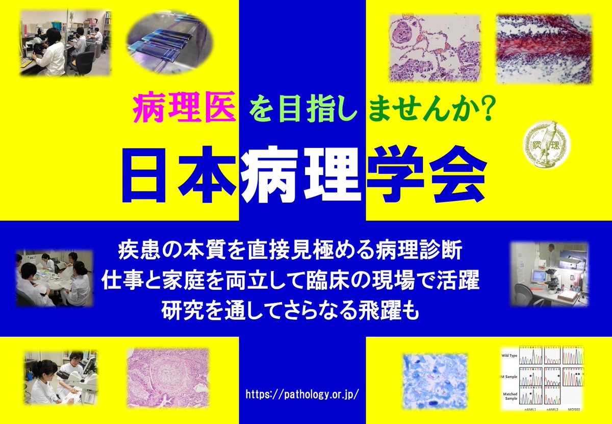 日本病理学会 tweet media