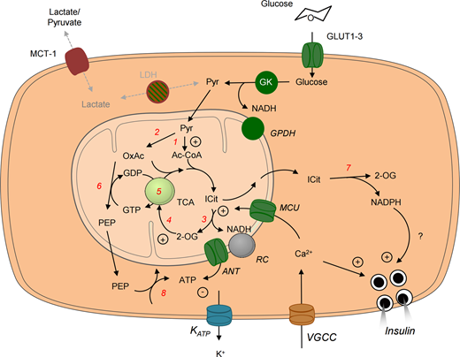 Biochemical Journal on Twitter: 