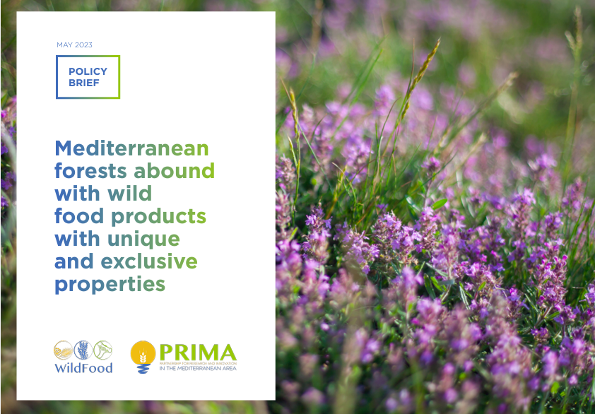 📊 The #PolicyBrief of the project is now available on our website.  

You can consult all the recommendations made to political decision-makers here👉🏼wildfood.ctfc.cat/policy-brief/