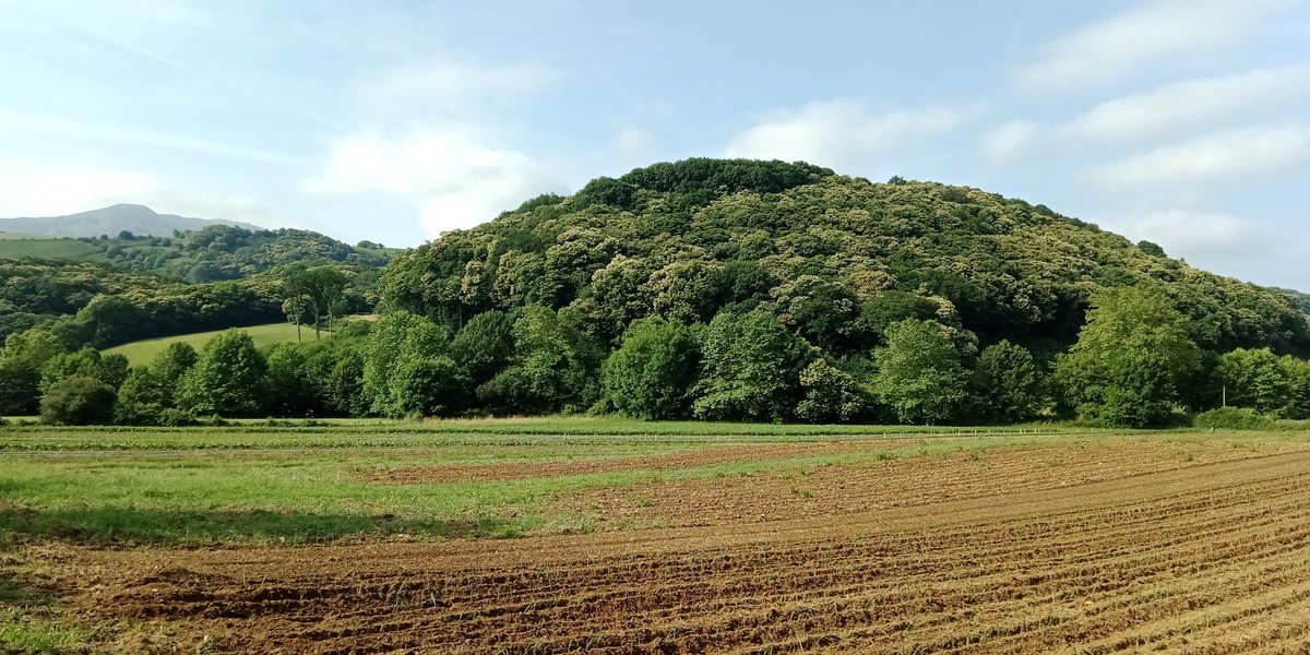 francis_larrea's tweet photo. On est pas bien là ? A la fraîche, décontracté... Deuxième photo les poireaux plantés. #bio #paysbasque #euskalherri #mendionde #lekorne https://t.co/gJCf1JXV5w