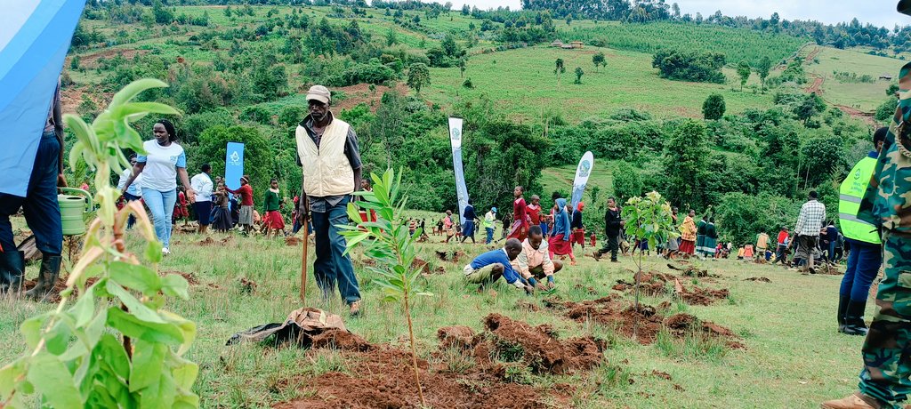 NAKURU RURAL WATER (@naruwasco) on Twitter photo Plant a tree and live younger. Save a tree and save the air from pollution. Protect your earth,Protect the greenery
<a href="/CRVWWDA/">Central Rift Valley Water Works Development Agency</a>
<a href="/NakuruCountyGov/">Nakuru County Gov</a> Plant a tree and live younger. Save a tree and save the air from pollution. Protect your earth,Protect the greenery
<a href="/CRVWWDA/">Central Rift Valley Water Works Development Agency</a>
<a href="/NakuruCountyGov/">Nakuru County Gov</a>