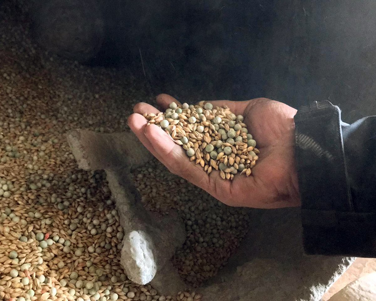 ArableScotland's tweet photo. #PickAMix is a database where you can record your #intercrop mixes and results and see what others are trying all over the UK.
Learn more about Pick-a-Mix with their latest blog post: ๐ https://t.co/dh5s6PpmdB
Attend #ArableScotland23 on July 4 FREE โจ https://t.co/TjaEs9mYBP