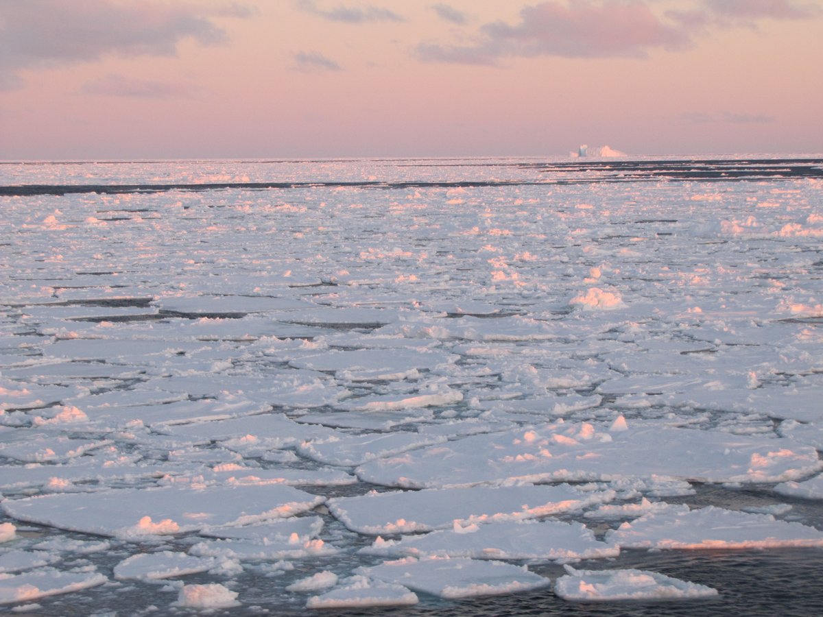 Polar scientists are calling for an urgent intensification of national and international research and observational capabilities in view of rapid Arctic and Antarctic change public.wmo.int/en/media/news/… @WMO @CliC_WCRP @SCAR_Tweets @ASPeCt_seaice #ASIWG #seaice #climate