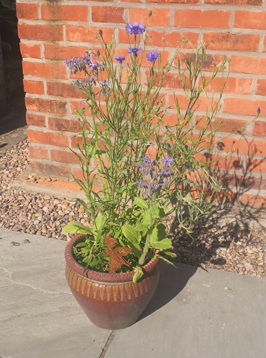 Ray Haldenby 🇺🇦 tweet media