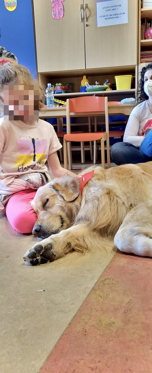 Forasmileonlus's tweet photo. Il progetto #BastaUnaZampa ritornerà all'@SanRaffaeleMI con altri nuovi incontri di #DogPetTherapy, dedicati ai bambini ricoverati nel reparto di pediatria, a settembre 2023.

Ringraziamo i coadiutori professionisti ma anche l'equipe ospedaliera per il sostegno e collaborazione!! https://t.co/jVRHIMIM3q