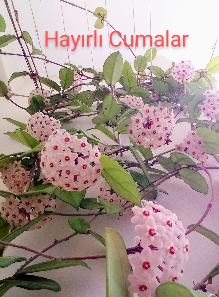 gencaygencay5's tweet photo. #HayırlıCumalar https://t.co/U1yhTk9E0I