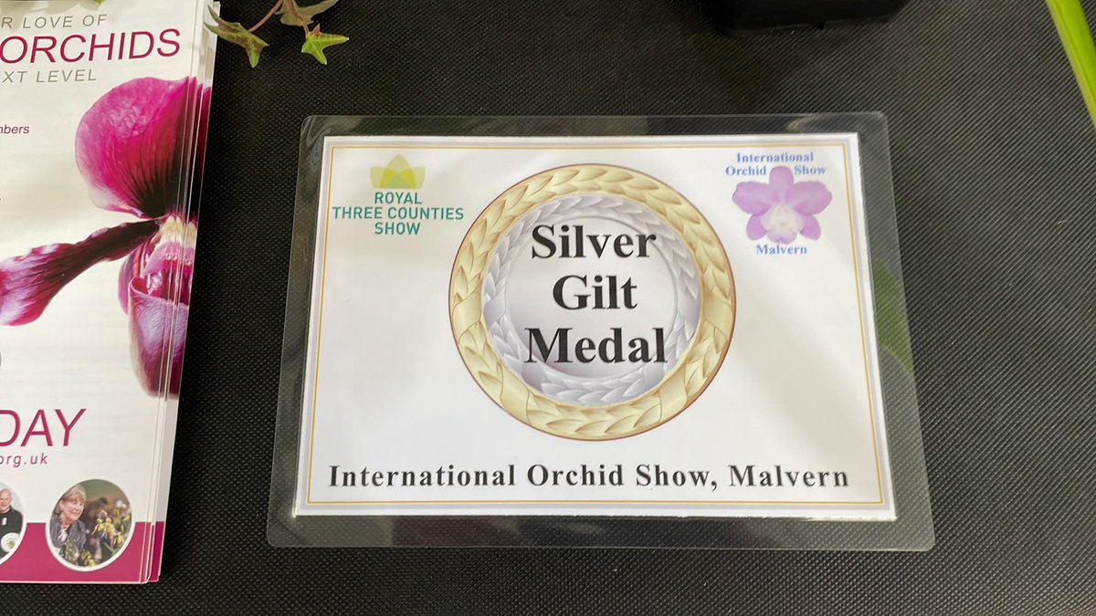 BritPaphSociety's tweet photo. It's Silver Guilt!! Two rosettes and Two Awards of Merit. What a fantastic achievements. Tha ks to all members for helping out and donating plants to the display. #orchids #orchidaceae #flowers #greenhouse #nature #species #hybrid #slipperorchids #society #orchidsofinstagram #BPS https://t.co/tqFEYoG2KW
