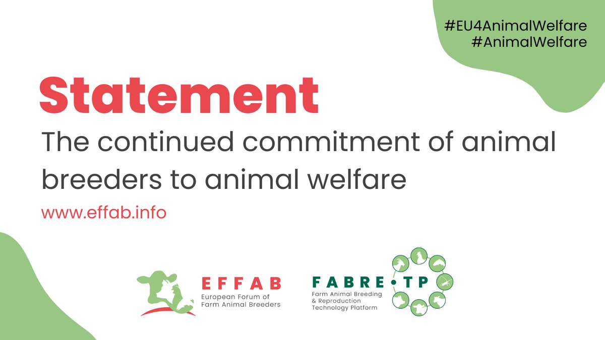 📢Statement:

EFFAB members are dedicated to #AnimalWelfare through Responsible and Balanced breeding strategies that contribute to better welfare and are described in Code EFABAR.

🗞️Read the full statement here: cutt.ly/RwrGgWkl

#EU4AnimalWelfare

🐮🐷🪰🐟🦪🦆🐑🐥