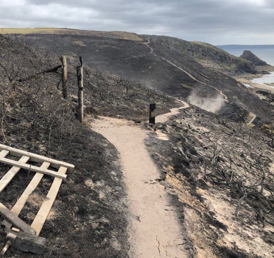 This weekend will be another hot one, and areas across the UK are at risk of wildfires. You can do your part and protect nature and wildlife by following these simple steps.

🔥NO BBQs or Fires.
🚭NO discarded cigarettes.
🚯NO littering.
☎️CALL 999 if you discover a fire.