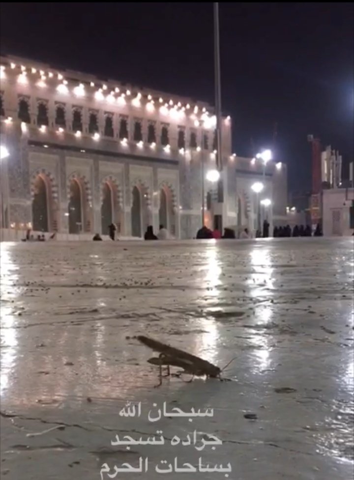 esssam_ibr11's tweet photo. اذا صار الشيء عند الآخرين :
عقابوووون من اللهي 

اذا صار عندهم : https://t.co/p0mQBBofcP