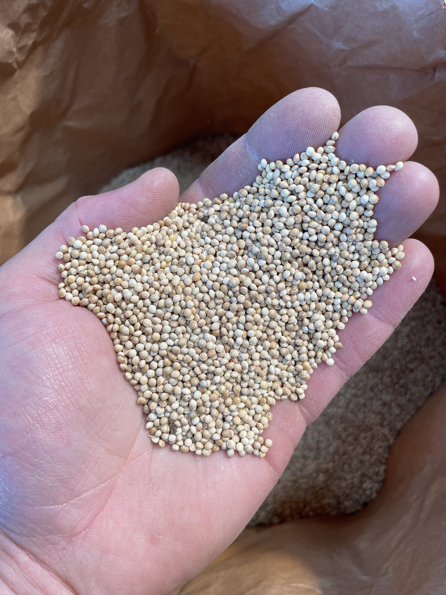 Les Jardins d’Aestiv - Benoît tweet media