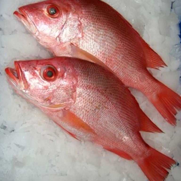 CaryKelly11's tweet image. Customer to female coworker at the seafood counter: 

"Can if I sniff your snapper?" 

Happy #FreshFishFriday everyone!