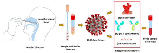 #recommendation
'Design and Numerical Analysis of a Graphene-Coated SPR Biosensor for Rapid Detection of the Novel Coronavirus'
mdpi.com/1424-8220/21/1…
#biosensor #coronavirus #surfaceplasmonresonance