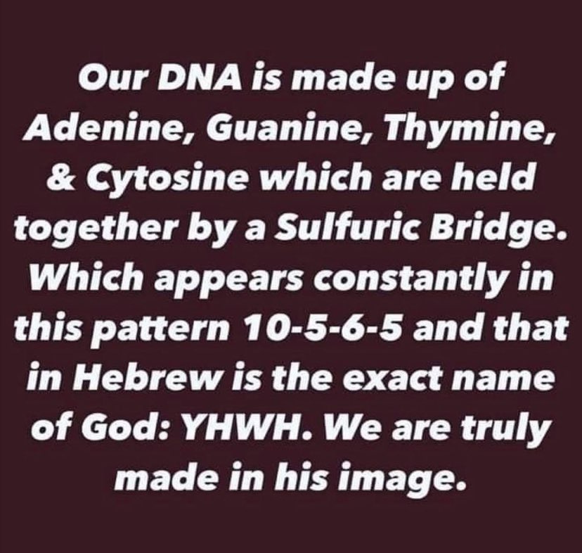 Jesus Lke17:26-28 As in the days of Noah Lot So it’ll B in the days of Son of Man Gen6:1-13 Man=Corrupted by Seed of Fallen Angels W/Man Vax=Corrupting man by altering humans DNA Ez16:48-50 Sodoms Iniquity Pride Gluttony Idleness Neglecting-Poor Needy Growing sexual Perversion TJ