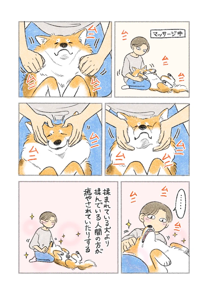 揉まれている犬より、揉んでいる人間の方が･･･！愛犬をマッサージするお話を描いた可愛い「犬漫画」！