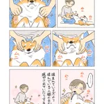 揉まれている犬より、揉んでいる人間の方が･･･!愛犬をマッサージするお話を描いた可愛い「犬漫画」!