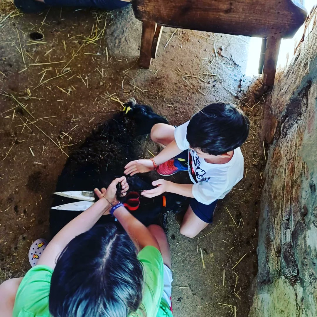 Semana de #excursionesfindecurso en todo #Primaria y 1° de la #ESO. Lisboa, Cantabria, Ávila...distintos lugares donde el alumnado ha podido disfrutar de diversas actividades y vivir nuevas #experiencias. ¡¡¡Todo un #aprendizaje!!!