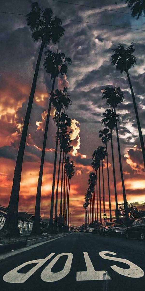 Nappyblaze's tweet photo. Drop the coolest wallpaper in your gallery 🥰 https://t.co/4OPkpCl02E