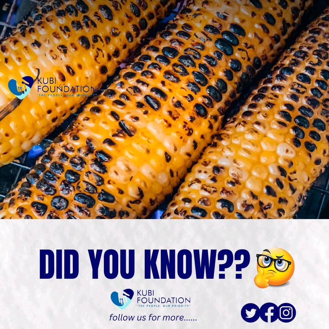 Roasted corn helps in improving digestibility and increases the level of starch in the snacks and convenience food. It also helps in reducing the risk of anemia as it contains folic acid, vitamin B12, and iron, which help in the production of red blood cells.

#kubilifestyle
#hea