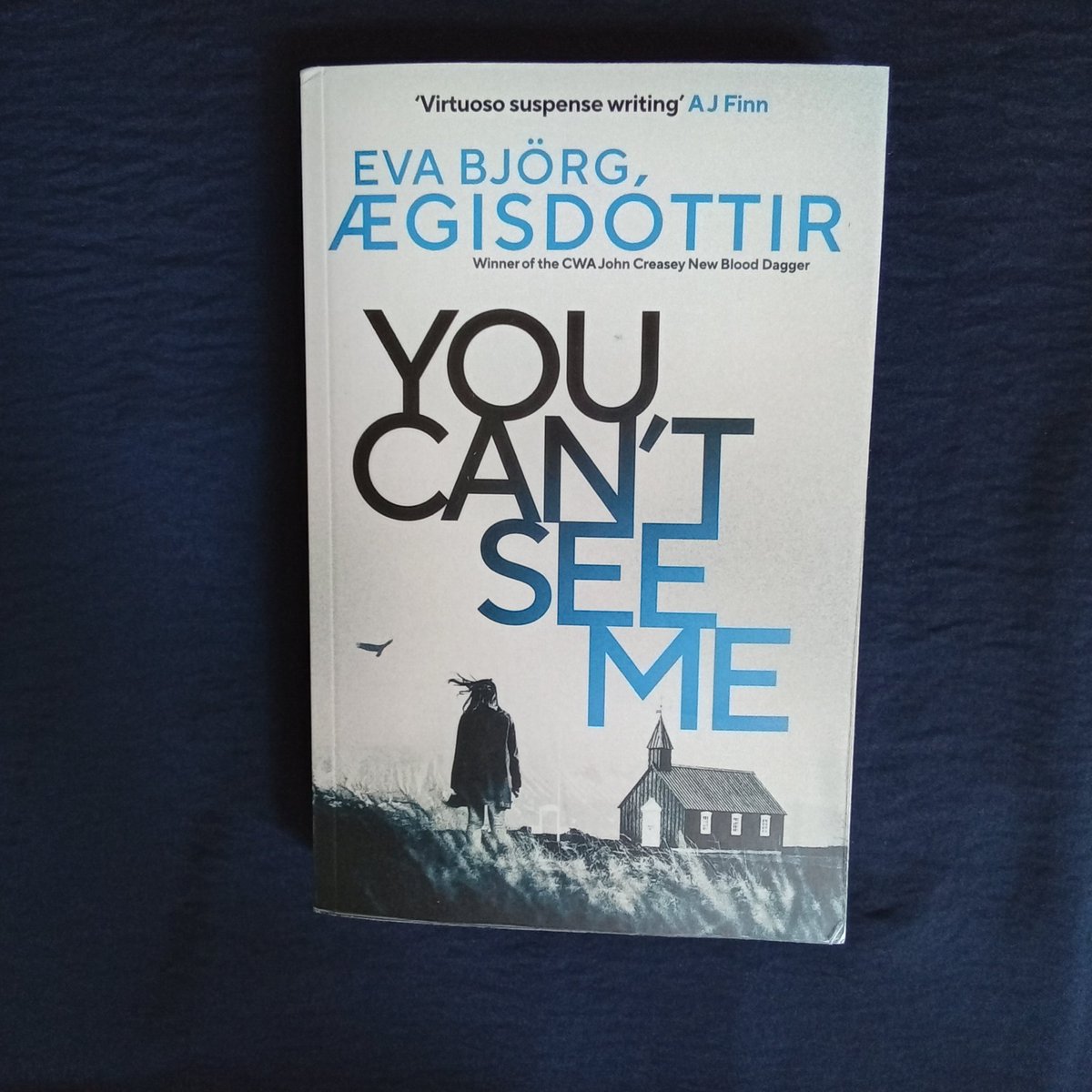 A fabulous prequel to the #ForbiddenIceland series. #Youcantseeme by Eva BJorg AEgisdottir is a intriguing look at life before Elma joins the CID. Full of twists and turns it keeps you guessing to nearly the very last page, Published by @OrendaBooks its out in July . Recommended.