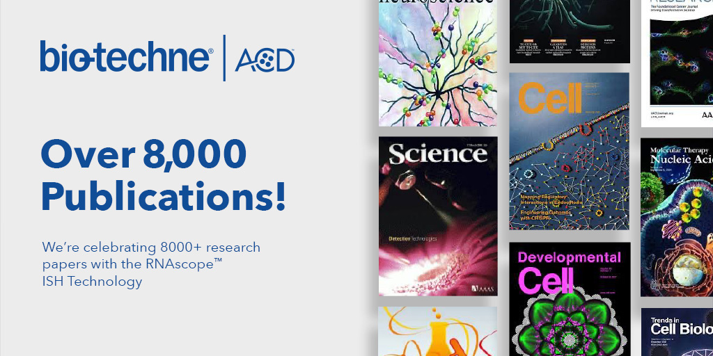 bt_spatial's tweet photo. We're celebrating the advancing fields of multi-omic spatial biology using the gold standard #RNAscopeISH technology by reaching an amazing milestone of over 8,000 publications citing the use of #RNAISH Thank you for #AdvancingYourRNAISH with us: https://t.co/Qc8AJhjFoc https://t.co/VMPZoJJeea