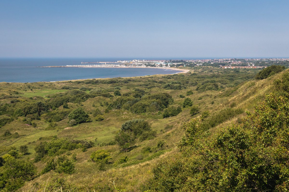 WalesCoastPath's tweet photo. Ffaith ar #DiwrnodTwyniTywodYByd...
🤔 Oeddech chi’n gwybod? Dros yr 80 mlynedd diwethaf, mae bron i 90% o’r tywod agored wedi gordyfu.
🥾Dewch o hyd i dwyni tywod ar y #LlwybrArfordirCymru yn eich ardal chi https://t.co/dhliLXKuoJ
#TwyniSymud #DynamicDunes https://t.co/GQiQrpVSXw