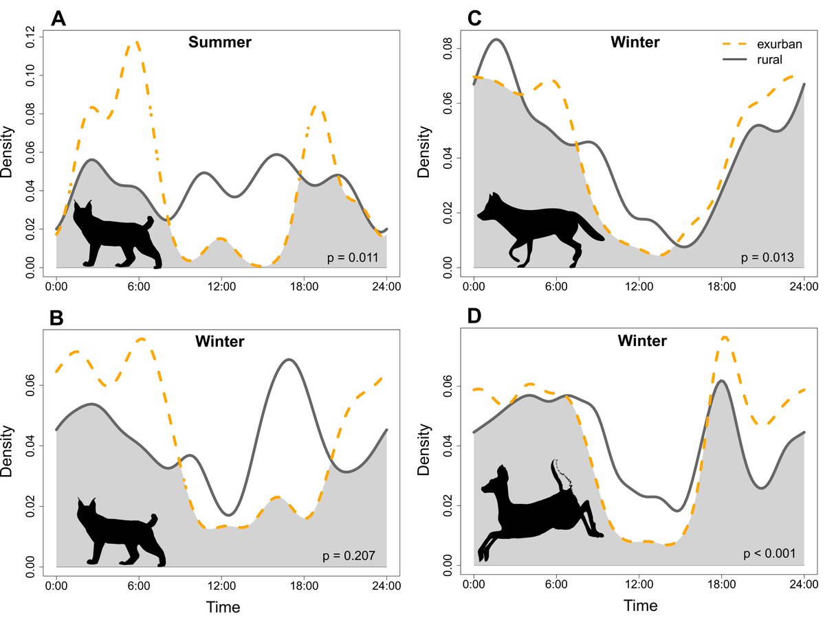 New paper! (And my first first-author paper!) 🎉 Mammal responses to exurban development are species and season-specific. Research conducted in southeastern New Hampshire by me, @ARButler89, Patrick Tate, Daniel Bergeron, and @remington_moll. doi.org/10.1093/jue/ju…
