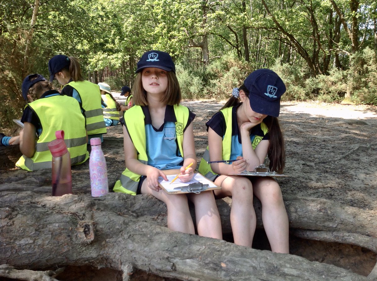 HalsteadPrepSch's tweet photo. It was a beautiful morning for a Year 4 trip to the sandpit at Horsell Common.  The girls were applying their knowledge of OS maps and grid references to create their own map of the area. #ready #horsellcommon #fun #handsonlearning https://t.co/ZzFVW7bo1X
