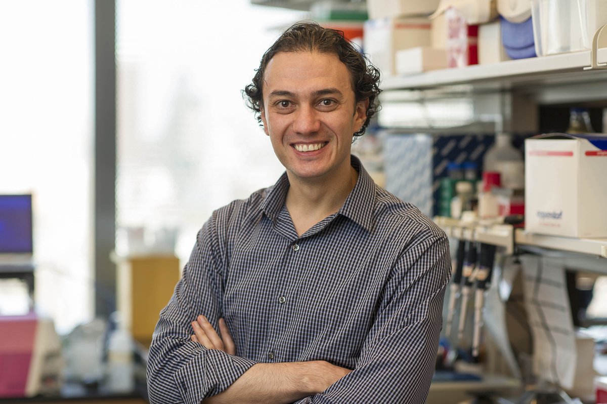 Cancer Research Institute tweet media