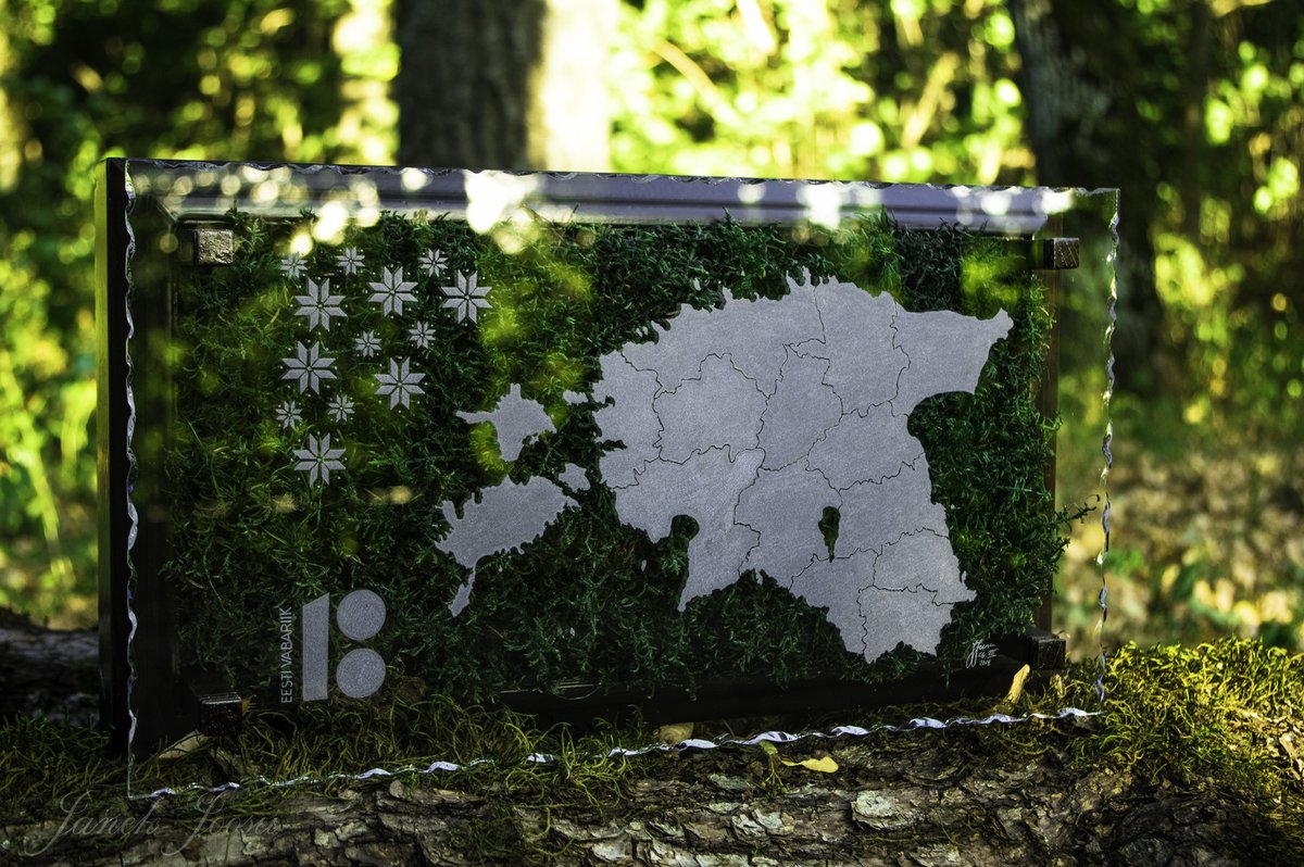 Hand engraved Estonian map on the glass. 
For background I made preserved moss on my own  and wooden frame. 
Was made for Estonian 100th birthday celebration. 
Date: 06. August 2018

#preservedmoss #estonia #handengraved #glassart #frame #100th #glassengraving #handmade #forest
