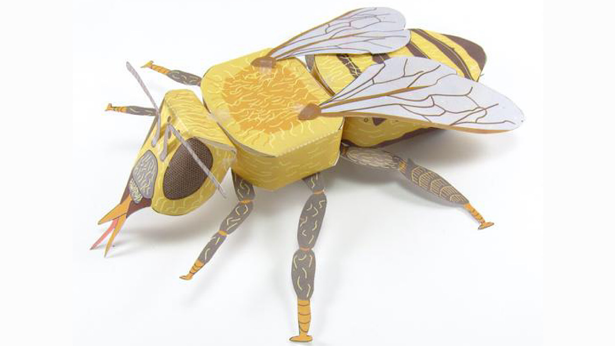 Looking forward to this!⬇️
Here are our paper models of a fruit fly & honey bee! Next week would be a great time to make them to learn about the body structure of insects!
Fruit Fly: bit.ly/3OYged9
Honey Bee: bit.ly/30d1srZ
#Insects #Entomology #InsectWeek2023