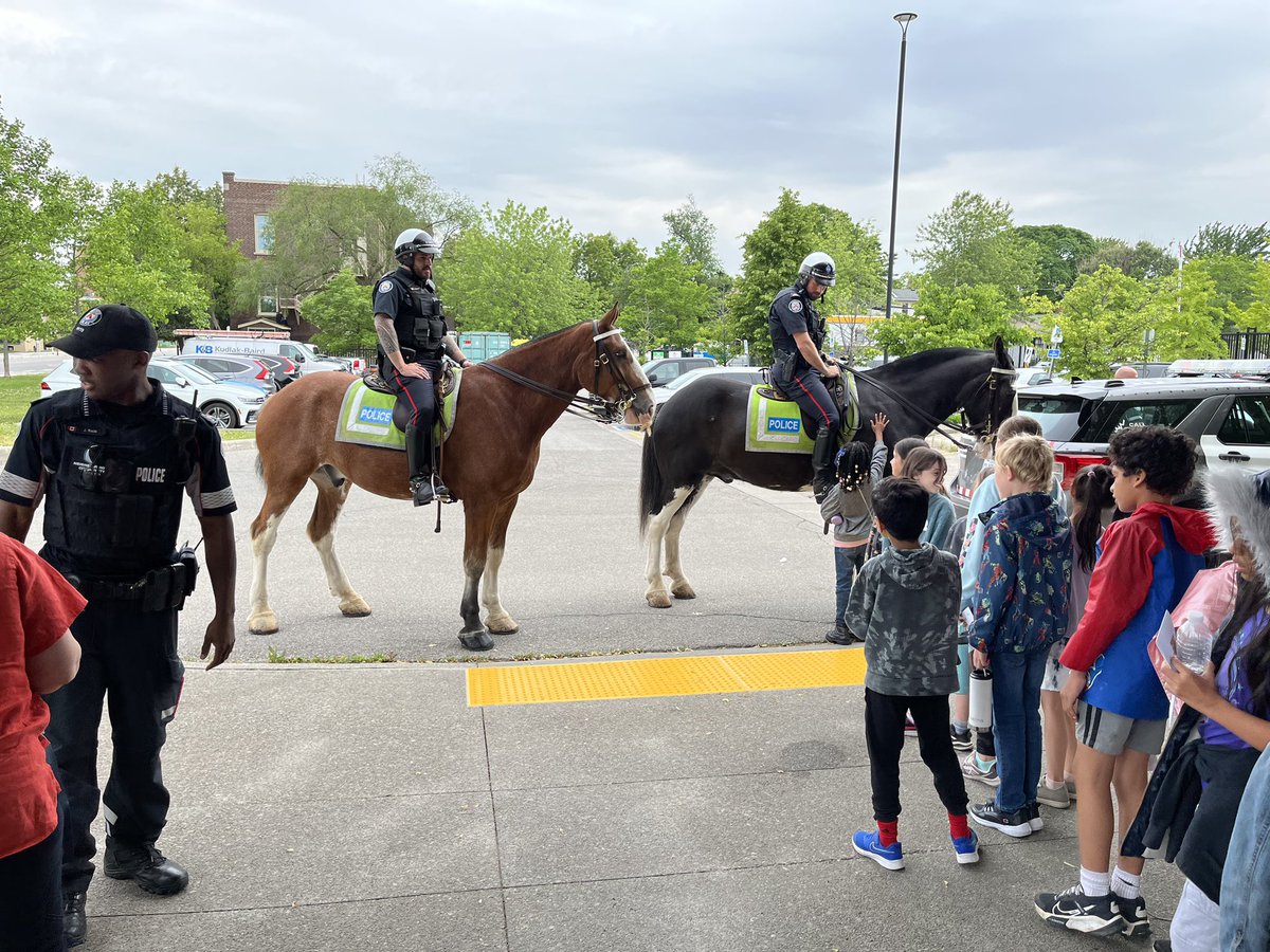 TPSMotorSquad's tweet photo. Spent some time at our College with Grade 3s from Second Street Junior Middle School.
They learned about and toured OUR school and met a police dog and two of our horses.
Highlight of their day?
Learning about and climbing on the motor of course! 😇
#HM47 https://t.co/aRDCn1v1ib