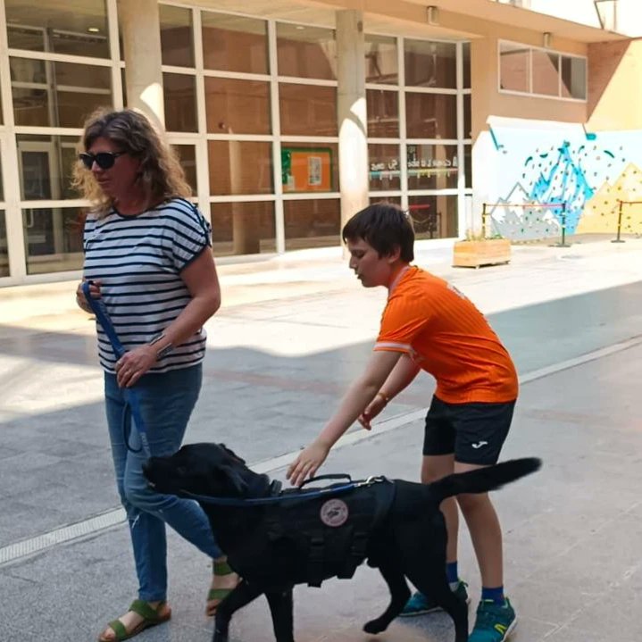 Com triar el teu gos, què pot fer per tu, com hem d'educar-lo i com tenir cura d'ell... Són algunes de les coses que avui la Bernie, mare del Leo i el Nil, ens ha explicat. Moltes gràcies! #SomTabor12 #SomTabor14
#SomTaborBcnTothomalescola